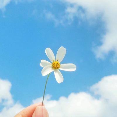 pg麻将胡了网站入口