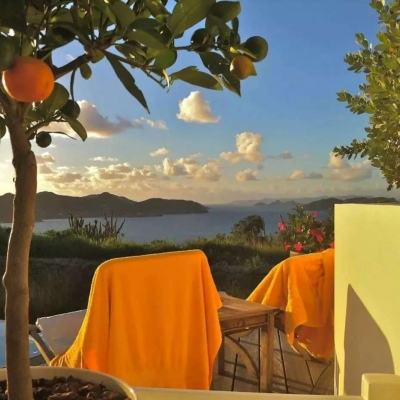 bob·体育综合app下载手机版