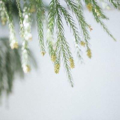 b体育官方app下载app下载