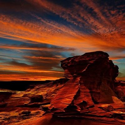 斗牛棋牌下载手机版