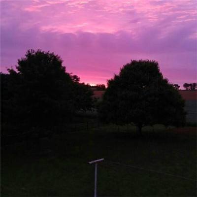 半岛·综合中国官方网站