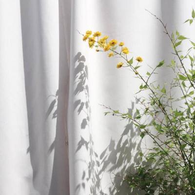 幸运彩票app下载苹果截图