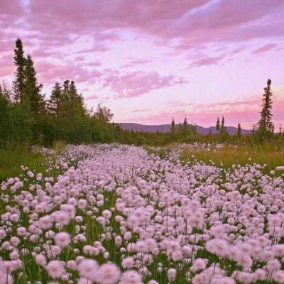 南宫体育app下载手机app下载